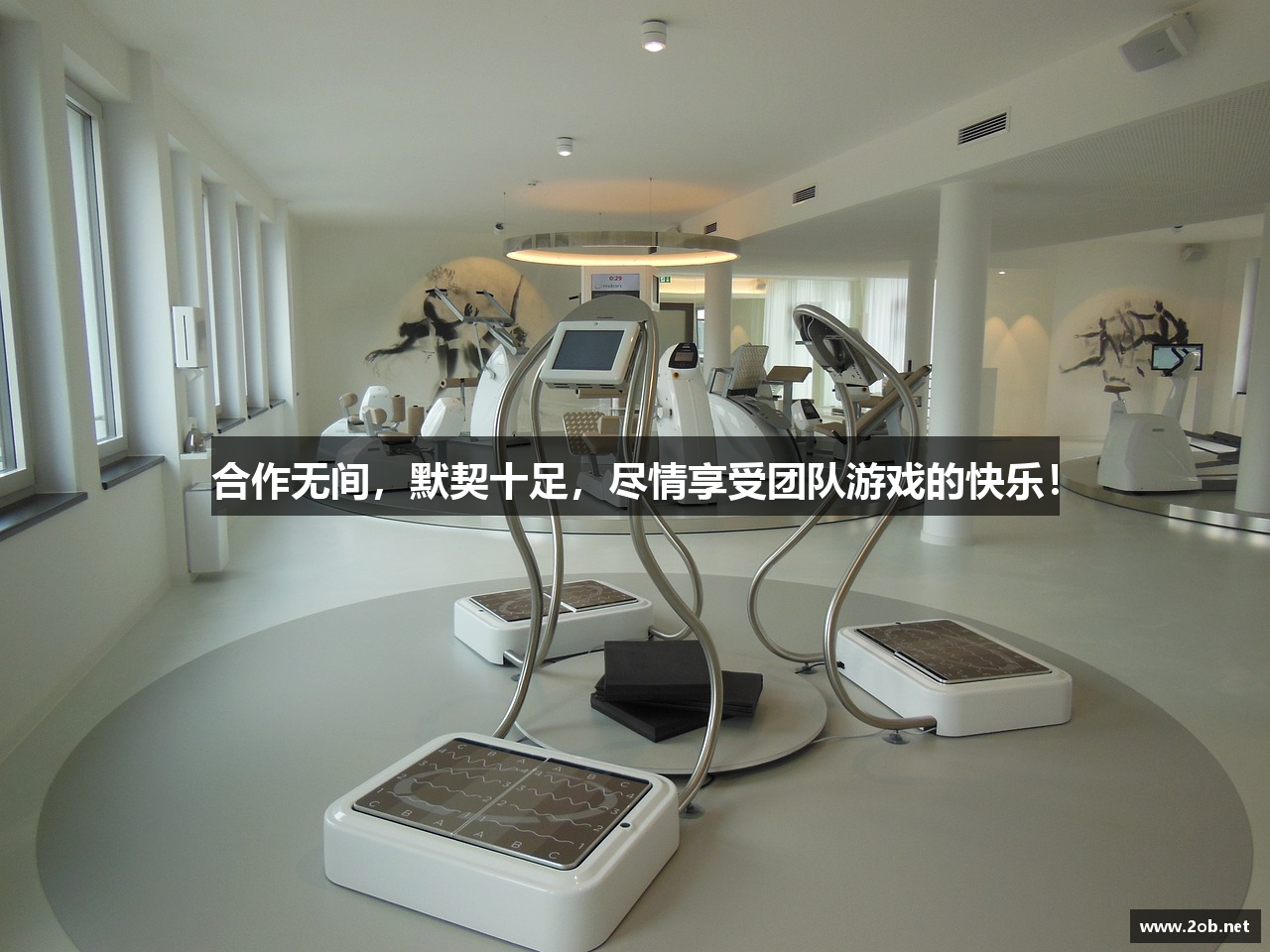 合作无间，默契十足，尽情享受团队游戏的快乐！